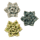 Mini Ceramic Flowers Kit, No Keyholes - Chive UK Wholesale