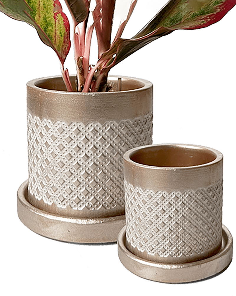 Balter Ceramic Pot And Saucer Set - Chive UK Wholesale