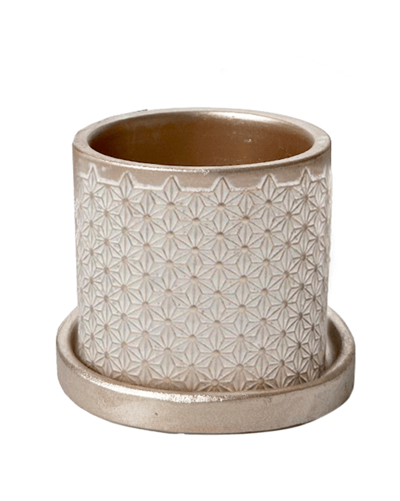 Balter Ceramic Pot And Saucer Set - Chive UK Wholesale