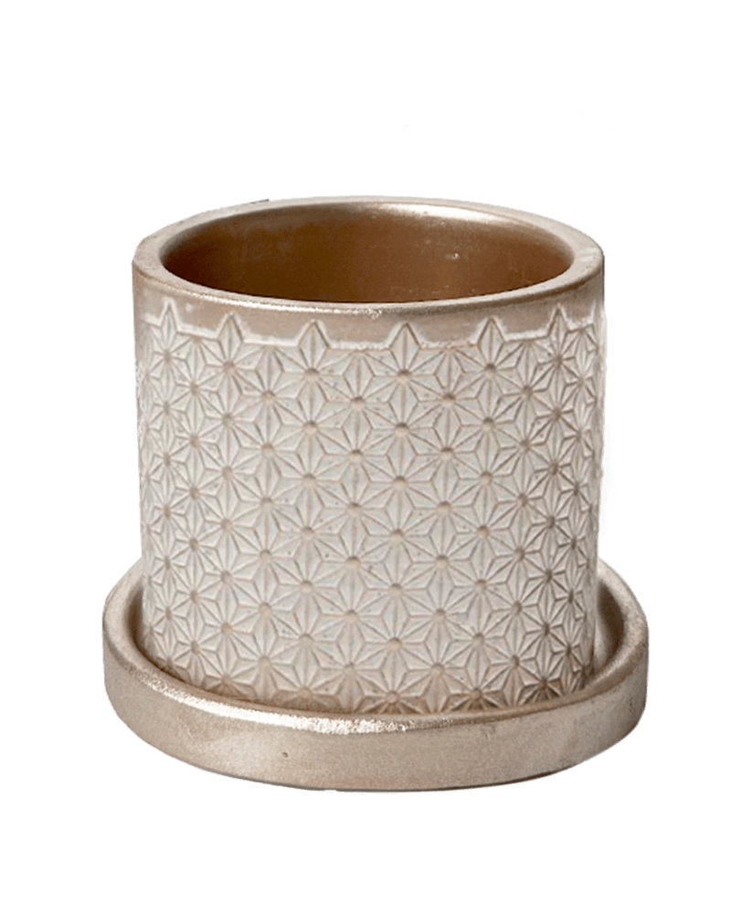 Balter Ceramic Pot And Saucer Set - Chive UK Wholesale