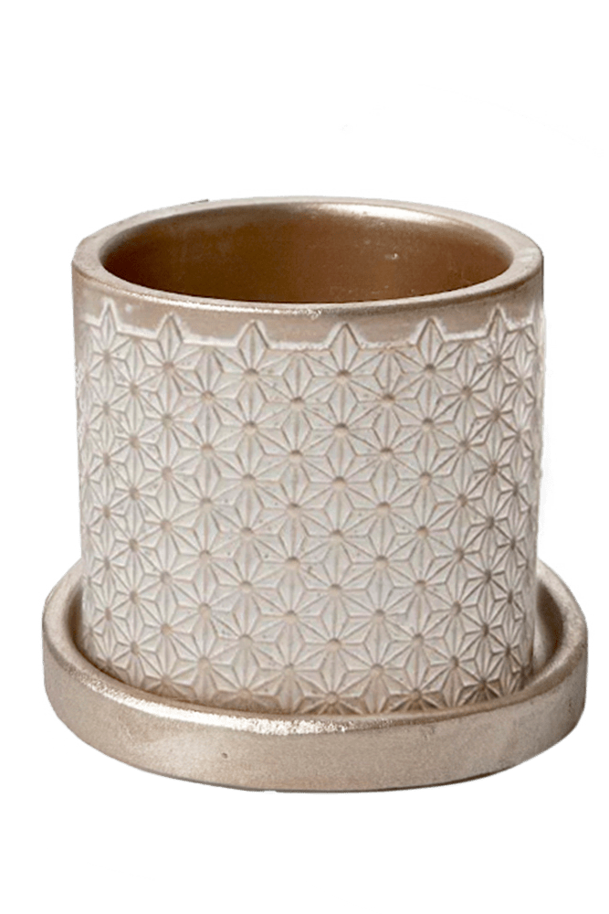 Balter Ceramic Pot And Saucer Set - Chive UK Wholesale