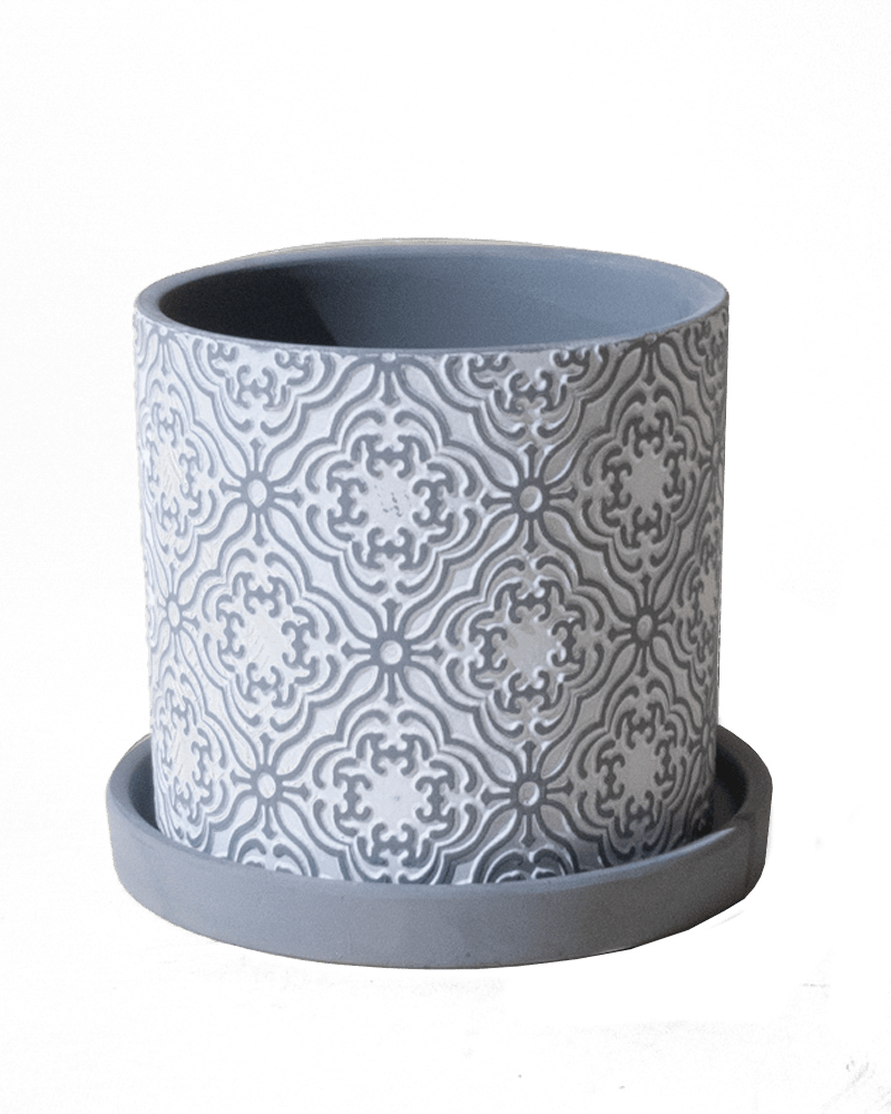 Balter Ceramic Pot And Saucer Set - Chive UK Wholesale