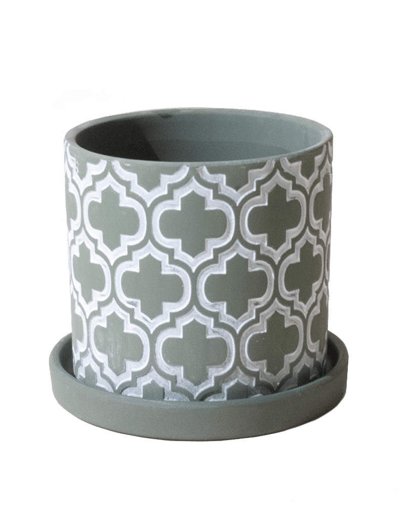Balter Ceramic Pot And Saucer Set - Chive UK Wholesale