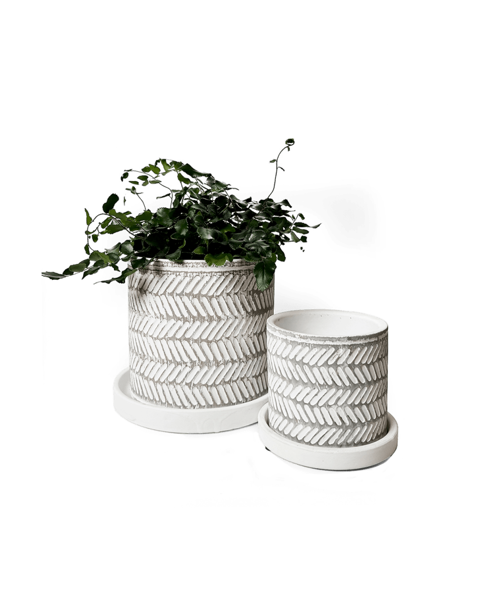 Balter Ceramic Pot And Saucer Set - Chive UK Wholesale