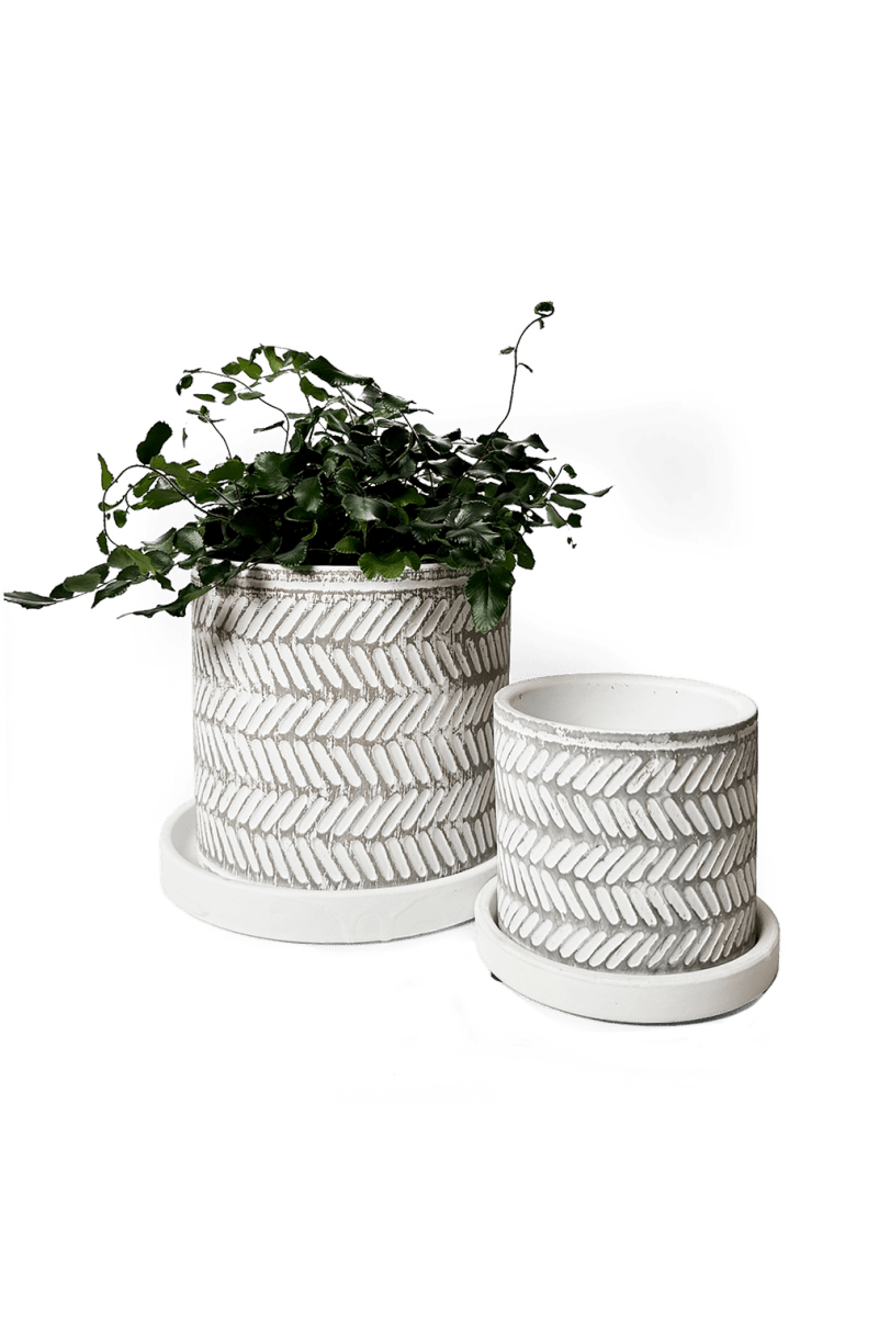 Balter Ceramic Pot And Saucer Set - Chive UK Wholesale