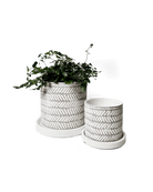 Balter Ceramic Pot And Saucer Set - Chive UK Wholesale