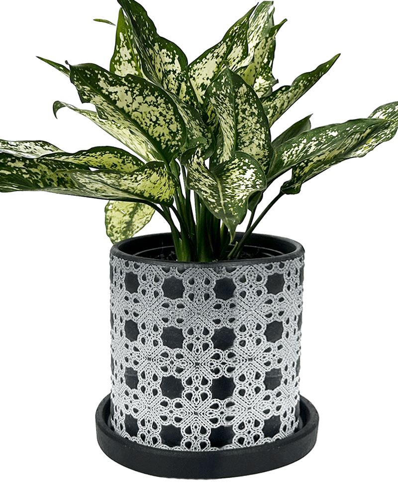 Balter Ceramic Pot And Saucer Set - Chive UK Wholesale
