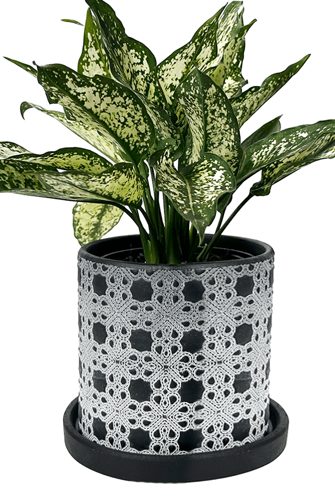 Balter Ceramic Pot And Saucer Set - Chive UK Wholesale