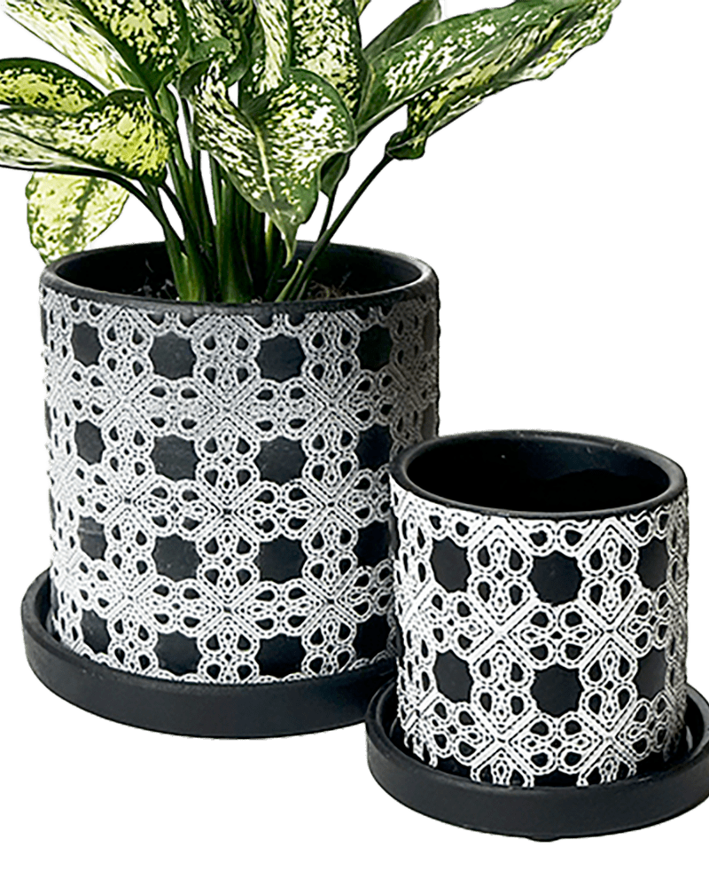 Balter Ceramic Pot And Saucer Set - Chive UK Wholesale