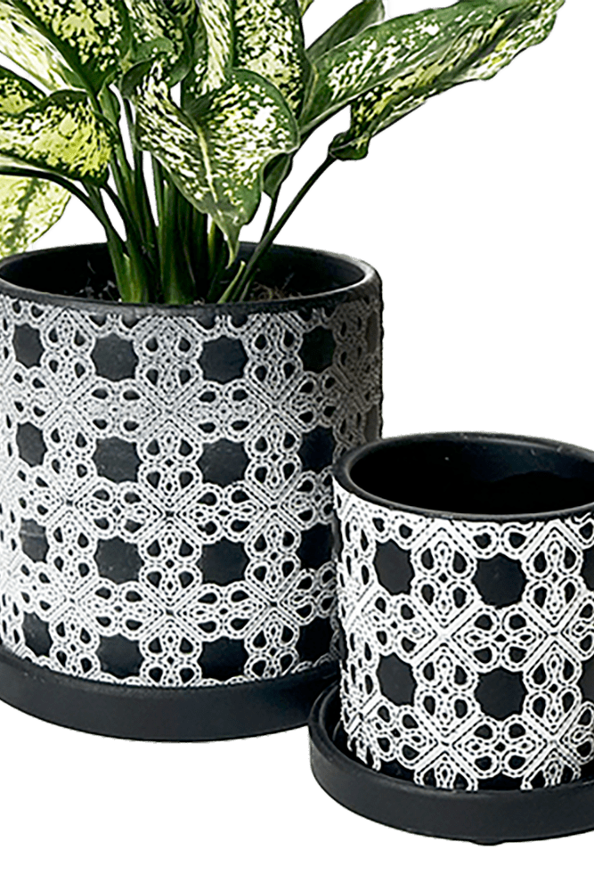 Balter Ceramic Pot And Saucer Set - Chive UK Wholesale