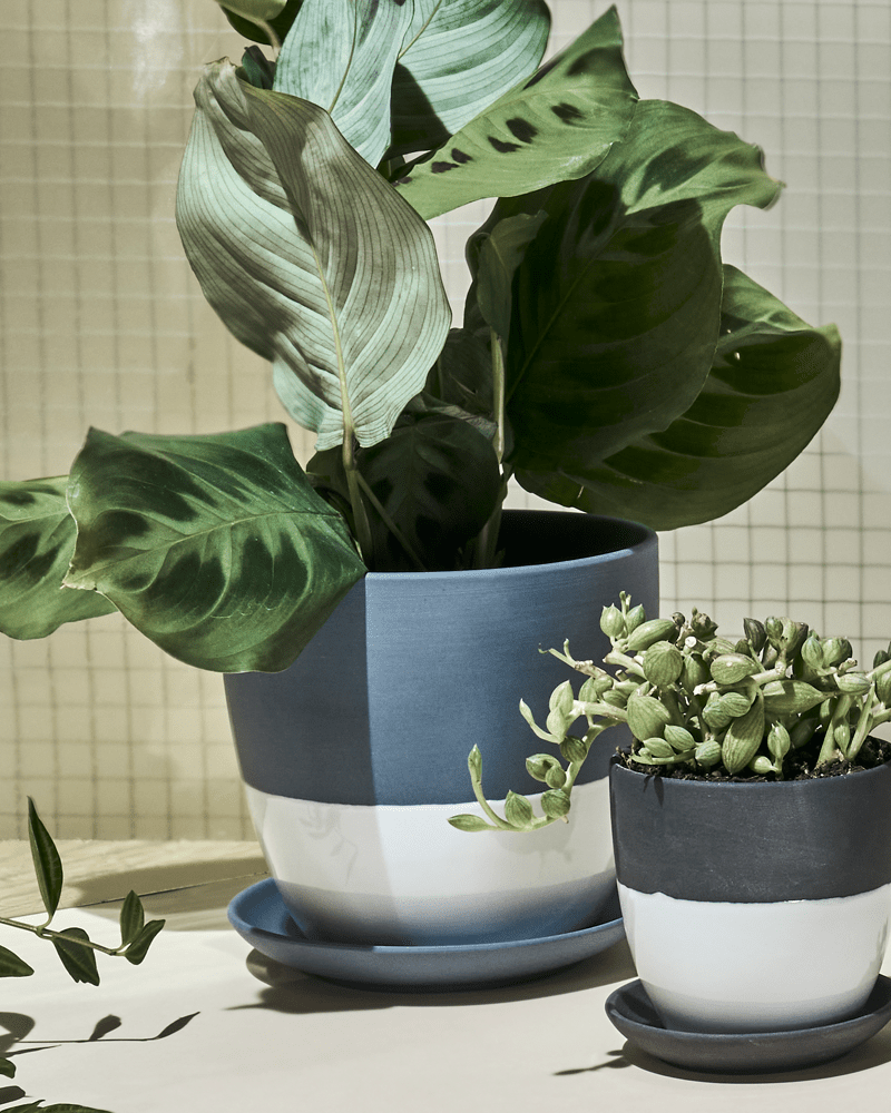 Dyad Porcelain Modern Indoor Plant Pot With Saucer - Chive UK Wholesale