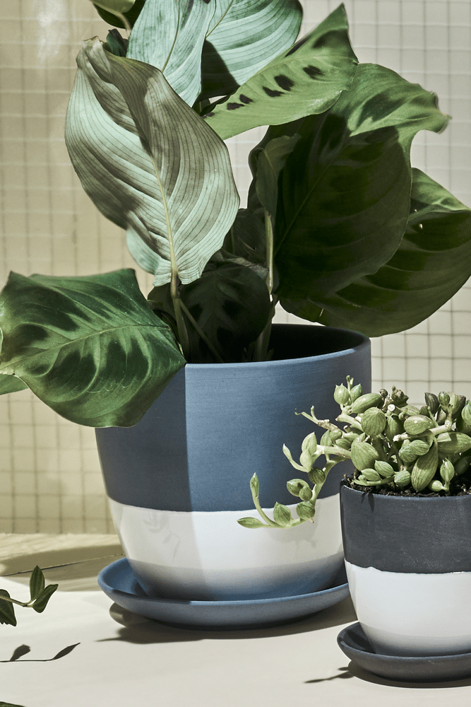 Dyad Porcelain Modern Indoor Plant Pot With Saucer - Chive UK Wholesale