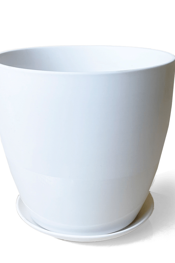 Dyad Porcelain Modern Indoor Plant Pot With Saucer - Chive UK Wholesale