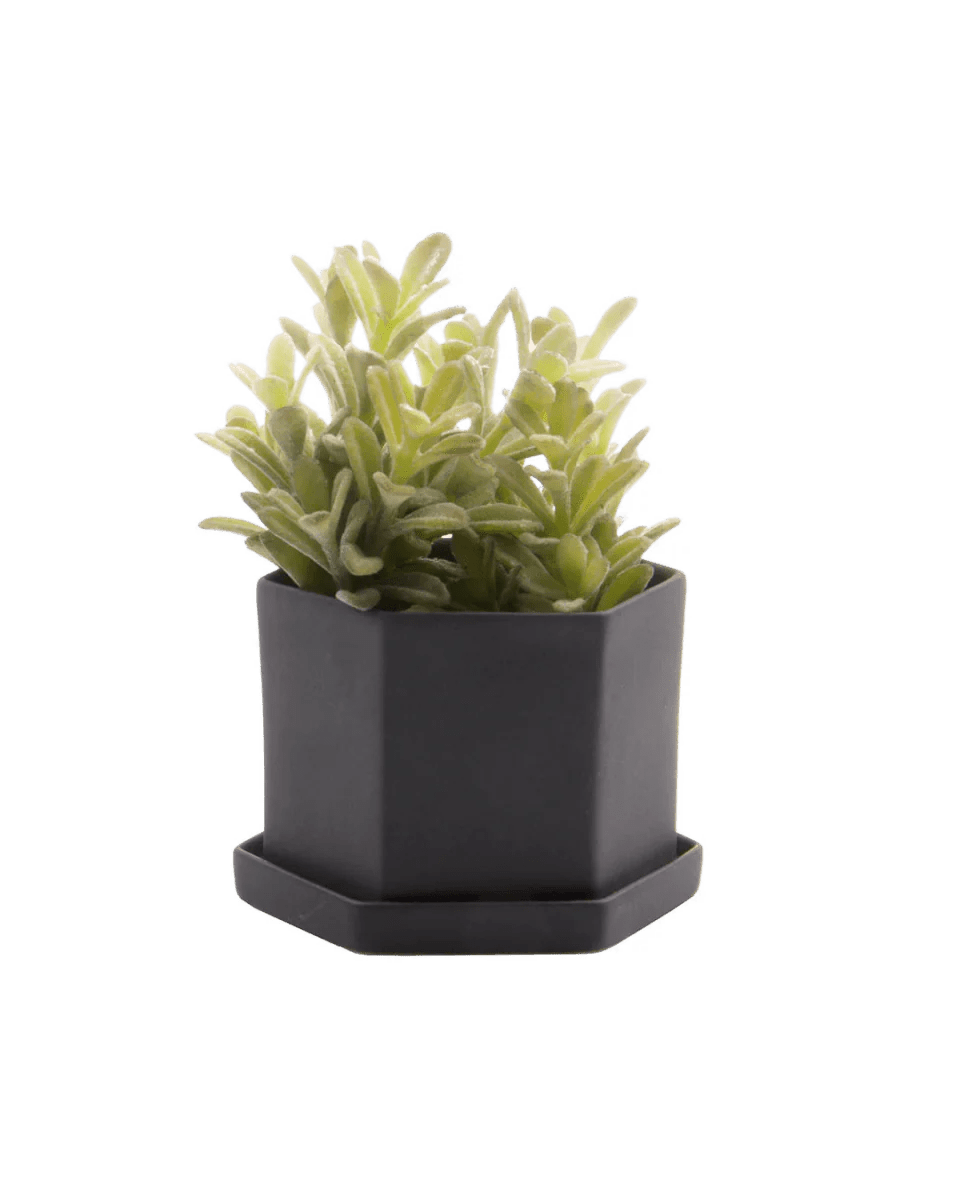 Hexi Porcelain Pot With Drainage Hole Kits - Chive UK Wholesale