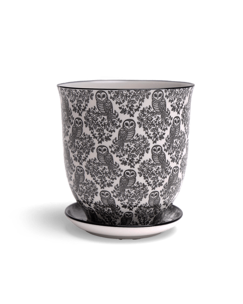 Liberte Porcelain Pot And Saucer Set With Drainage - Chive UK Wholesale