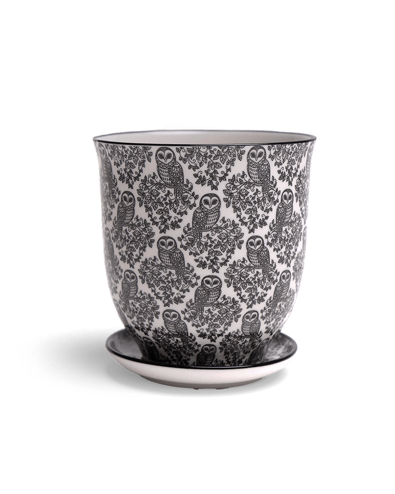 Liberte Porcelain Pot And Saucer Set With Drainage - Chive UK Wholesale