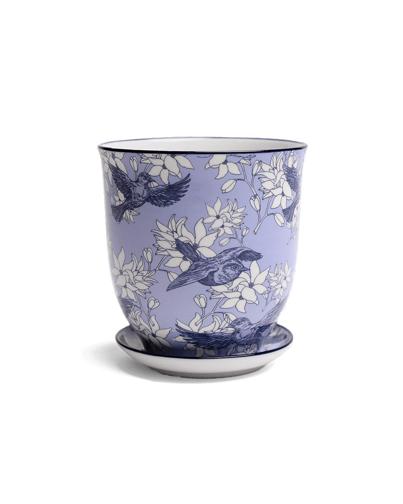 Liberte Porcelain Pot And Saucer Set With Drainage - Chive UK Wholesale
