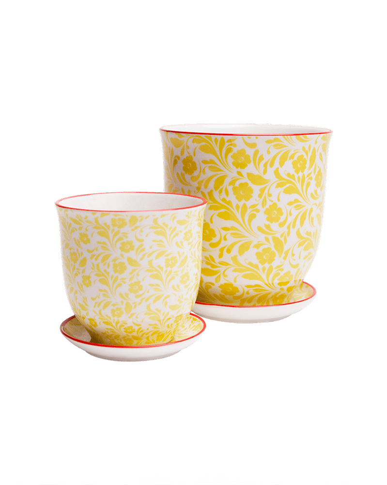 Liberte Porcelain Pot And Saucer Set With Drainage - Chive UK Wholesale