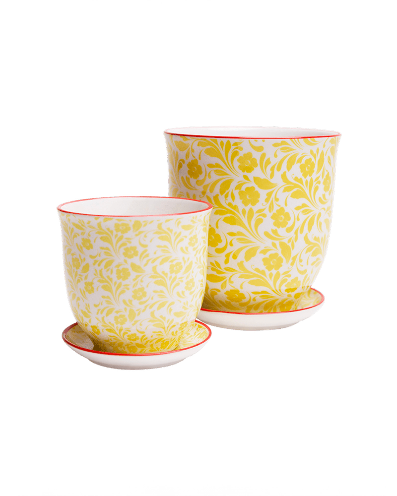 Liberte Porcelain Pot And Saucer Set With Drainage - Chive UK Wholesale