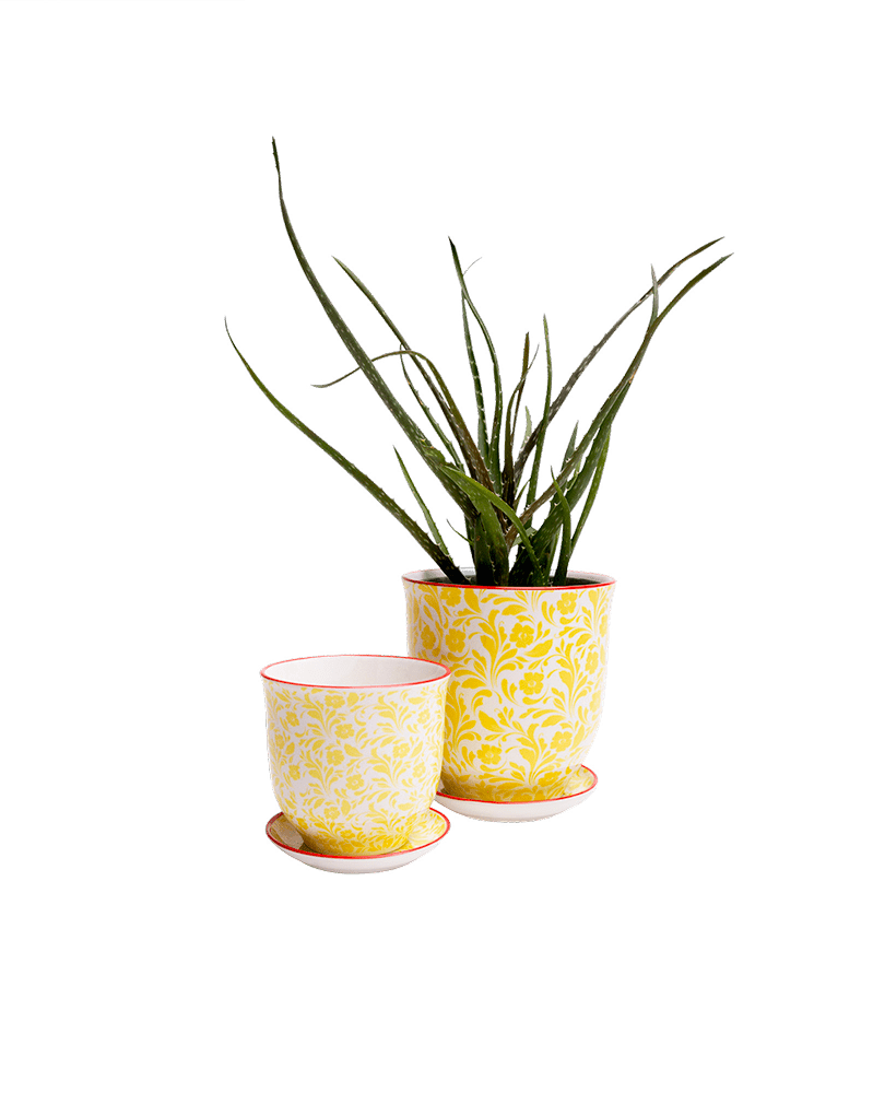 Liberte Porcelain Pot And Saucer Set With Drainage - Chive UK Wholesale