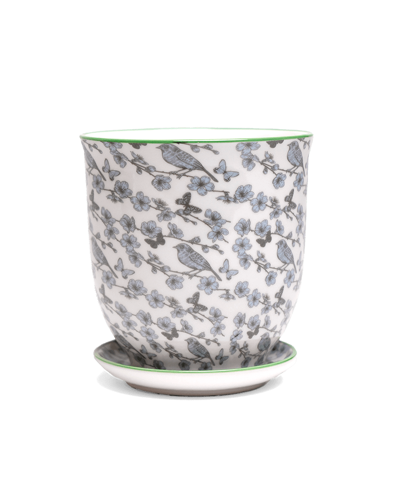 Liberte 5 Porcelain Pot And Saucer With Drainage - Chive UK Wholesale