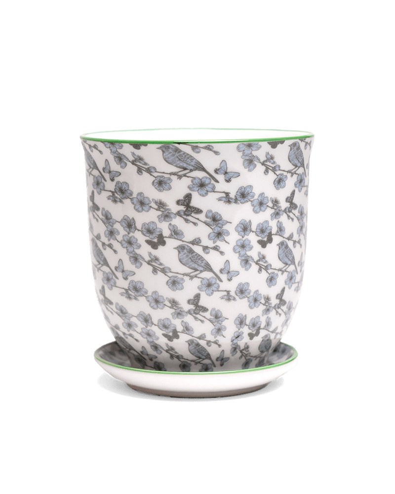 Liberte 5 Porcelain Pot And Saucer With Drainage - Chive UK Wholesale