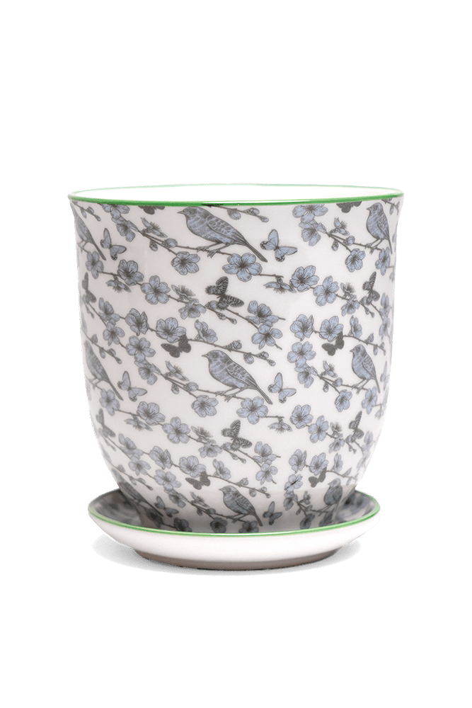 Liberte 5 Porcelain Pot And Saucer With Drainage - Chive UK Wholesale