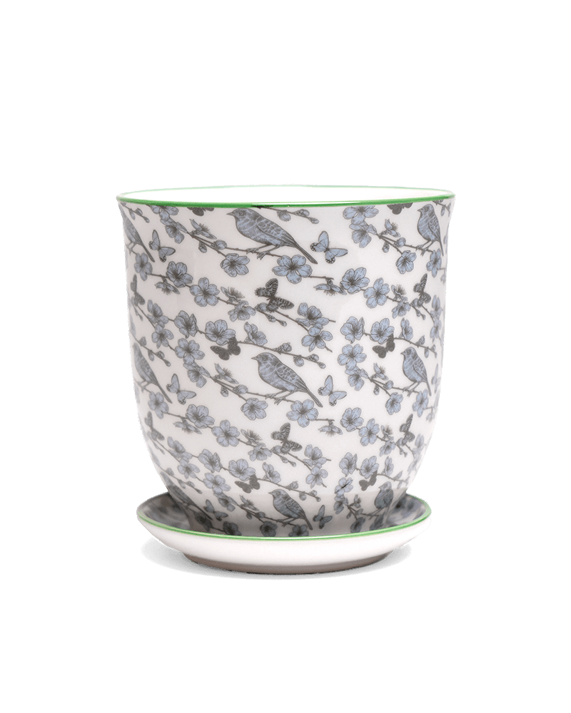 Liberte 5 Porcelain Pot And Saucer With Drainage - Chive UK Wholesale