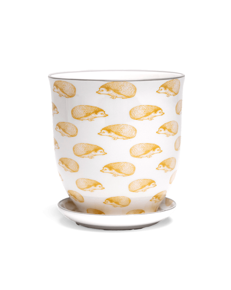 Liberte 5 Porcelain Pot And Saucer With Drainage - Chive UK Wholesale