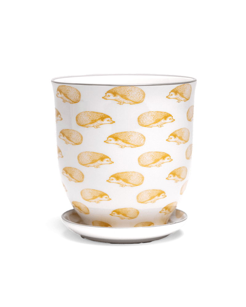 Liberte 5 Porcelain Pot And Saucer With Drainage - Chive UK Wholesale