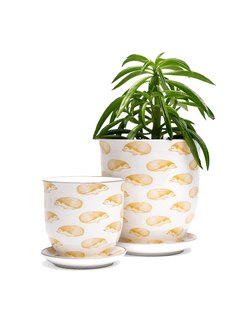 Liberte 5 Porcelain Pot And Saucer With Drainage - Chive UK Wholesale