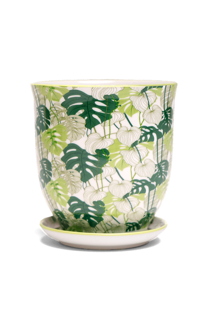 Liberte 5 Porcelain Pot And Saucer With Drainage - Chive UK Wholesale