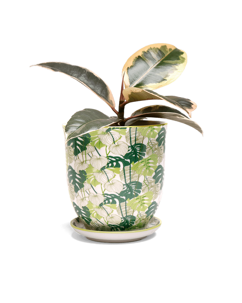 Liberte 5 Porcelain Pot And Saucer With Drainage - Chive UK Wholesale