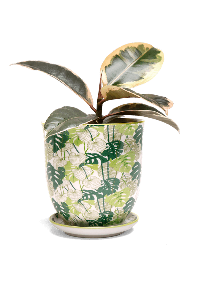 Liberte 5 Porcelain Pot And Saucer With Drainage - Chive UK Wholesale