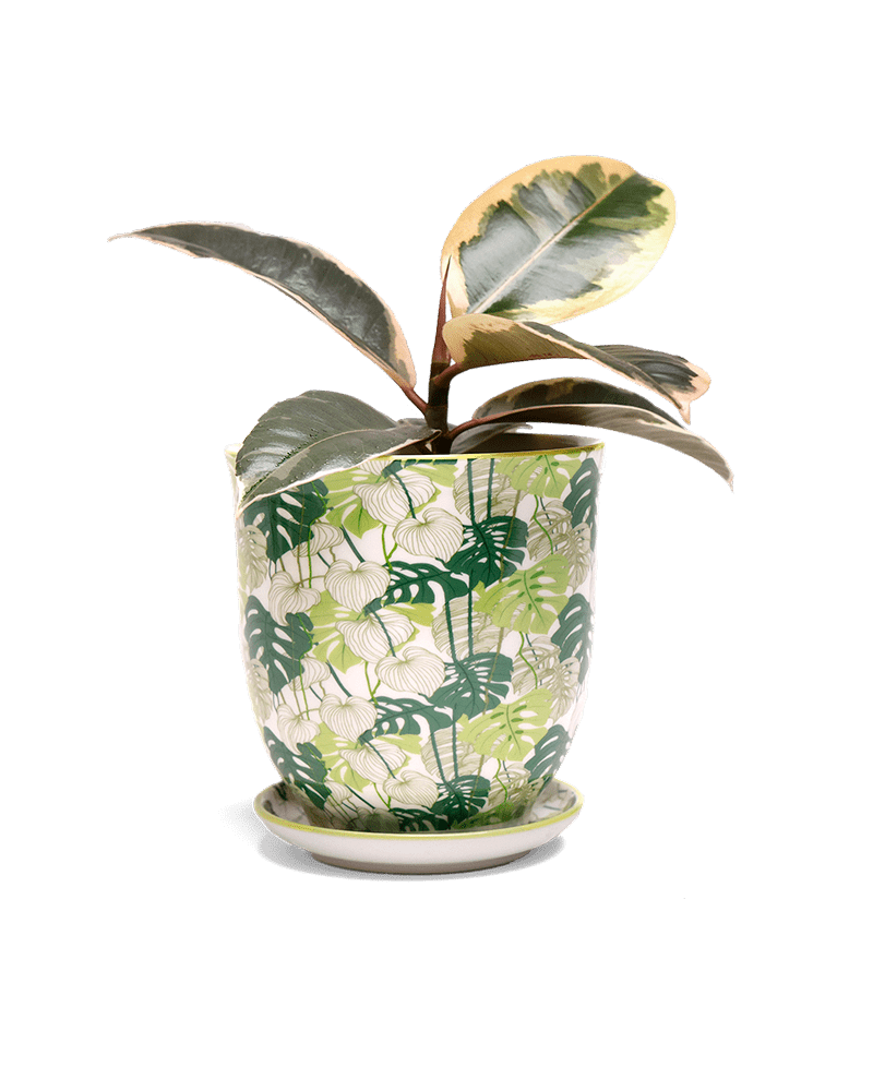 Liberte 5 Porcelain Pot And Saucer With Drainage - Chive UK Wholesale