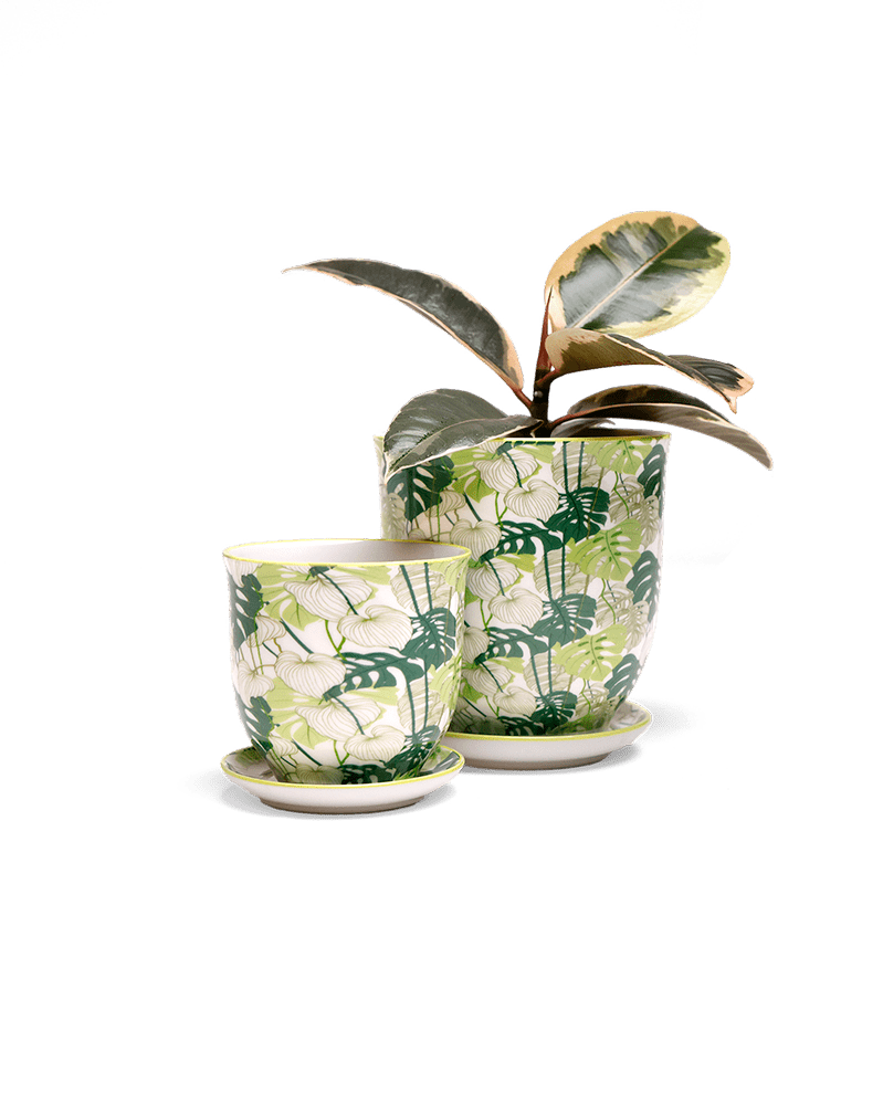 Liberte 5 Porcelain Pot And Saucer With Drainage - Chive UK Wholesale