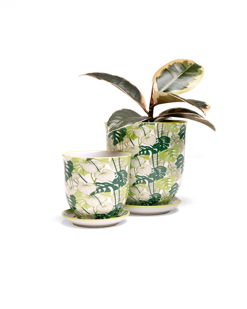 Liberte 5 Porcelain Pot And Saucer With Drainage - Chive UK Wholesale