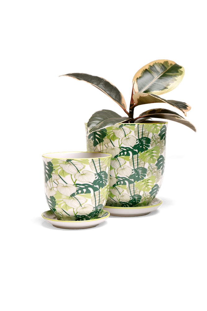 Liberte 5 Porcelain Pot And Saucer With Drainage - Chive UK Wholesale