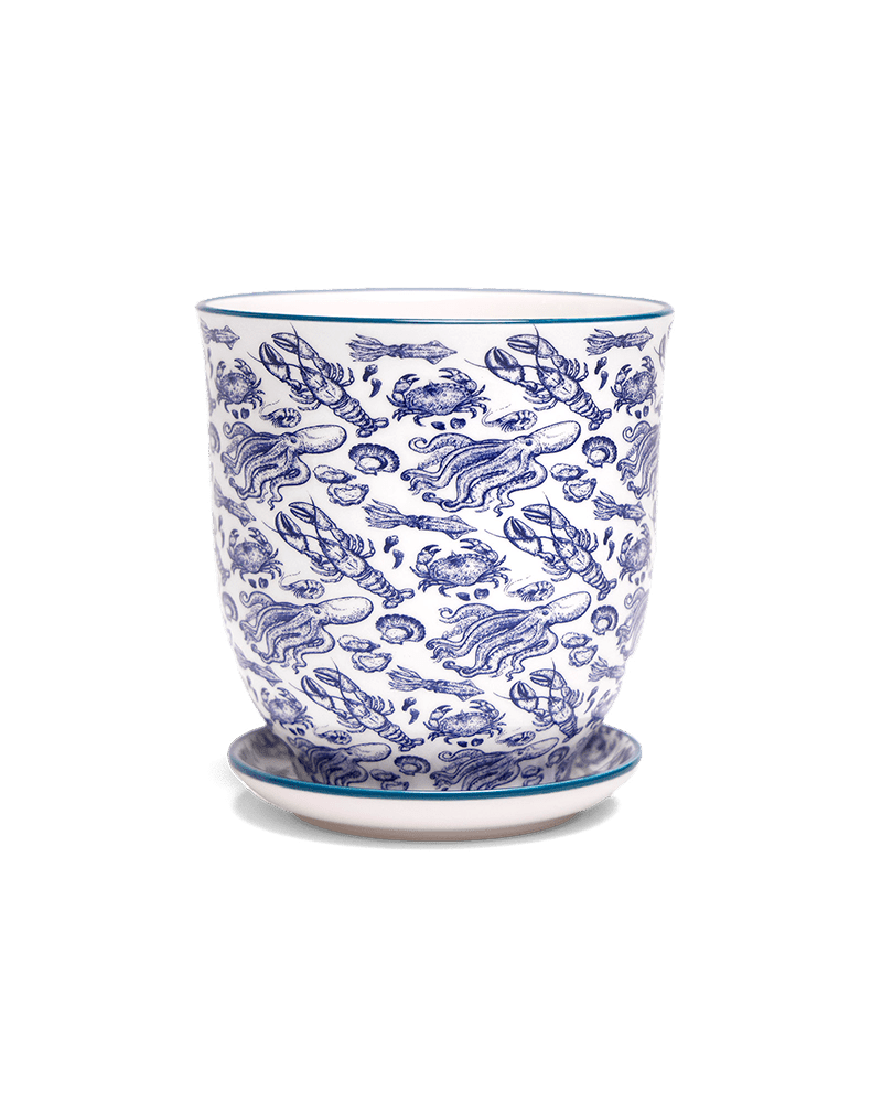 Liberte 5 Porcelain Pot And Saucer With Drainage - Chive UK Wholesale