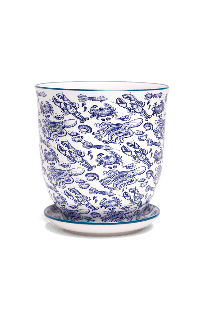 Liberte 5 Porcelain Pot And Saucer With Drainage - Chive UK Wholesale