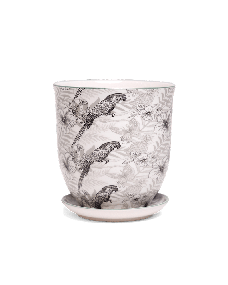 Liberte 5 Porcelain Pot And Saucer With Drainage - Chive UK Wholesale