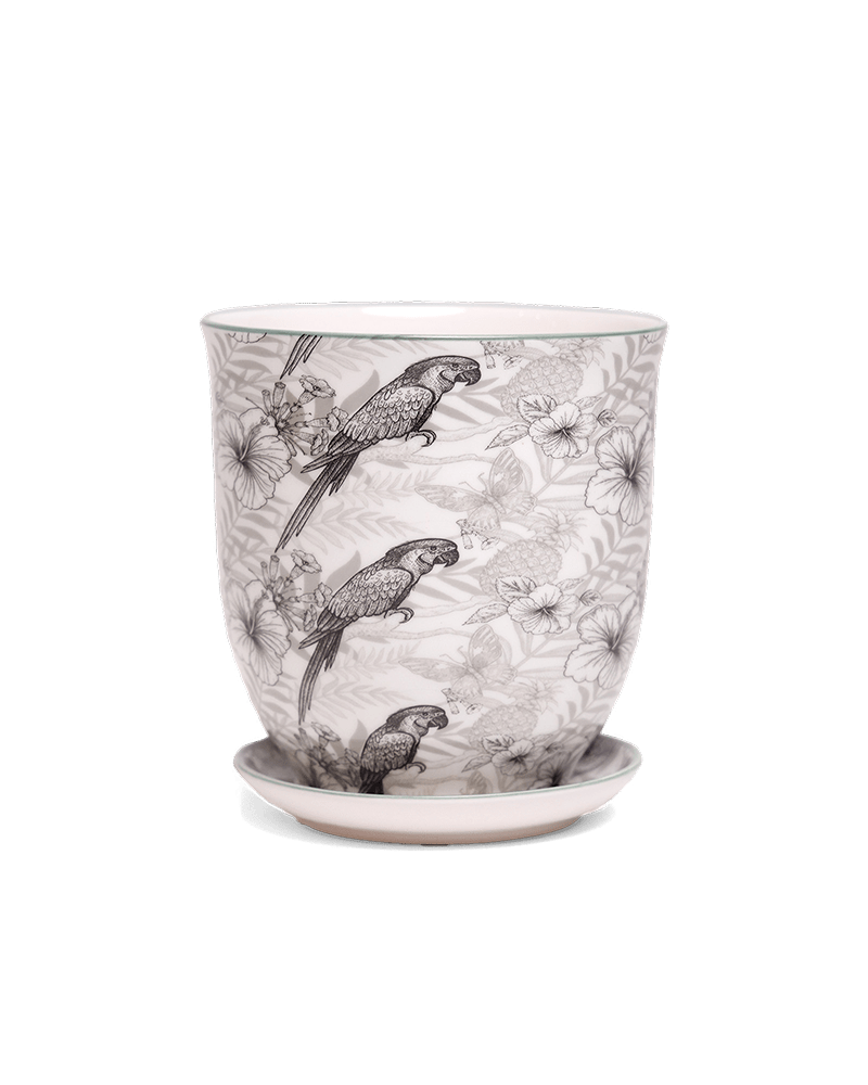 Liberte 5 Porcelain Pot And Saucer With Drainage - Chive UK Wholesale