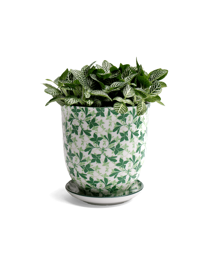Liberte Porcelain Pot And Saucer Set With Drainage - Chive UK Wholesale