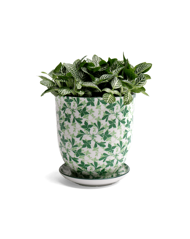 Liberte Porcelain Pot And Saucer Set With Drainage - Chive UK Wholesale