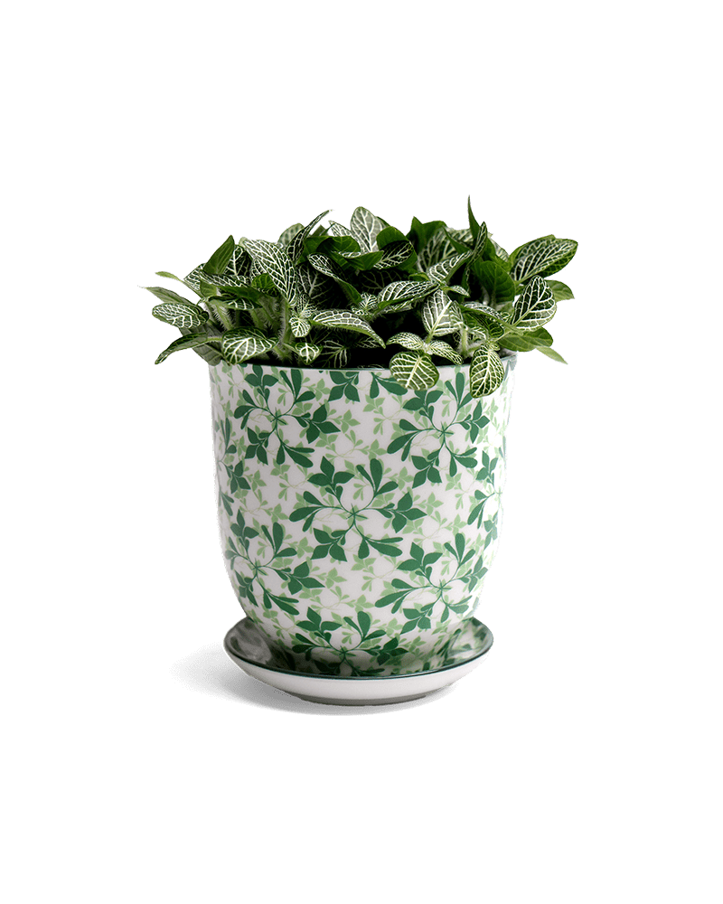 Liberte Porcelain Pot And Saucer Set With Drainage - Chive UK Wholesale