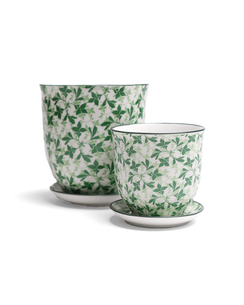 Liberte Porcelain Pot And Saucer Set With Drainage - Chive UK Wholesale