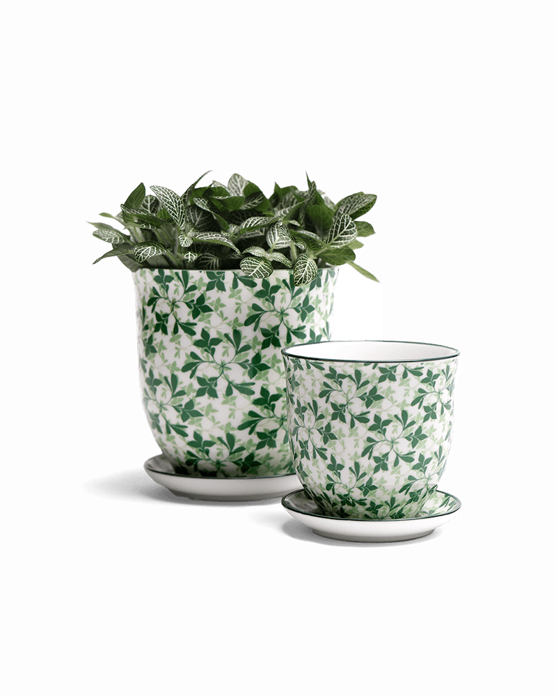 Liberte Porcelain Pot And Saucer Set With Drainage - Chive UK Wholesale