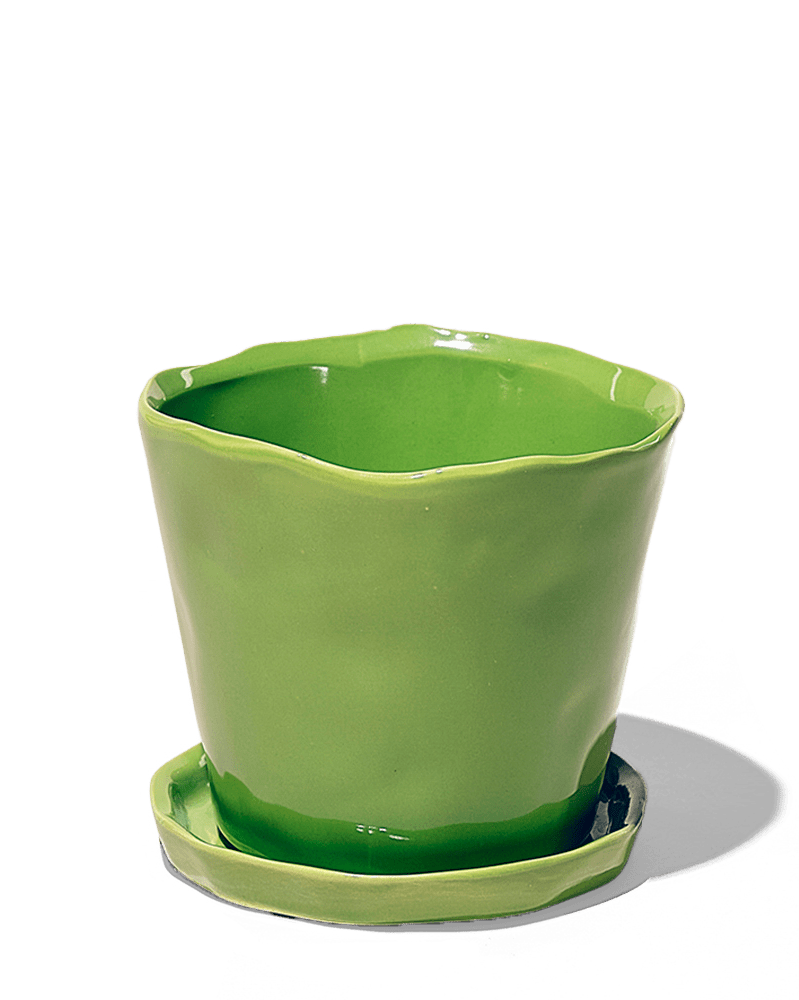 Tika Ceramic Pot & Saucer Set With Drainage - Chive UK Wholesale