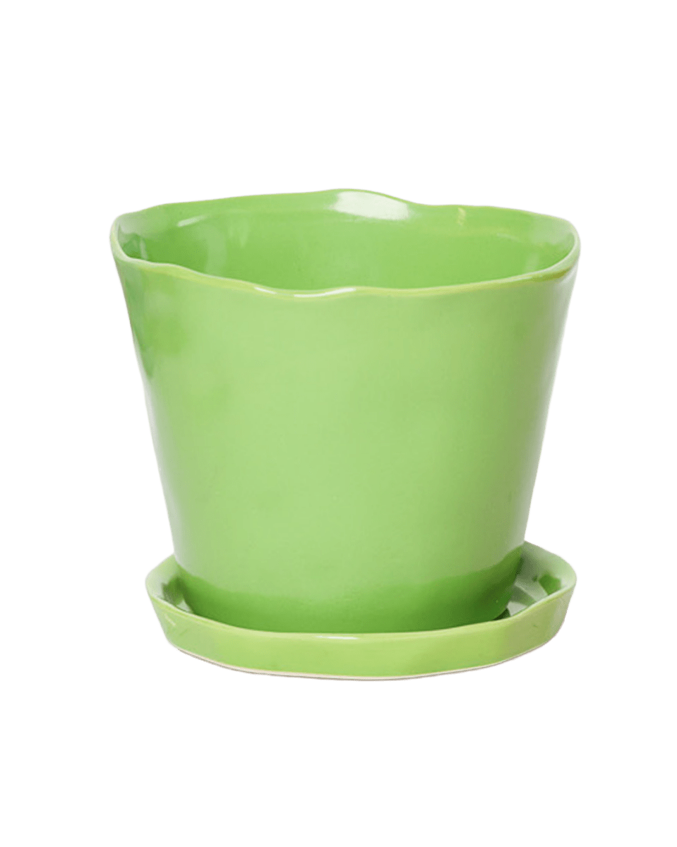 Tika Pot & Saucer | 5 inch - Chive UK Wholesale