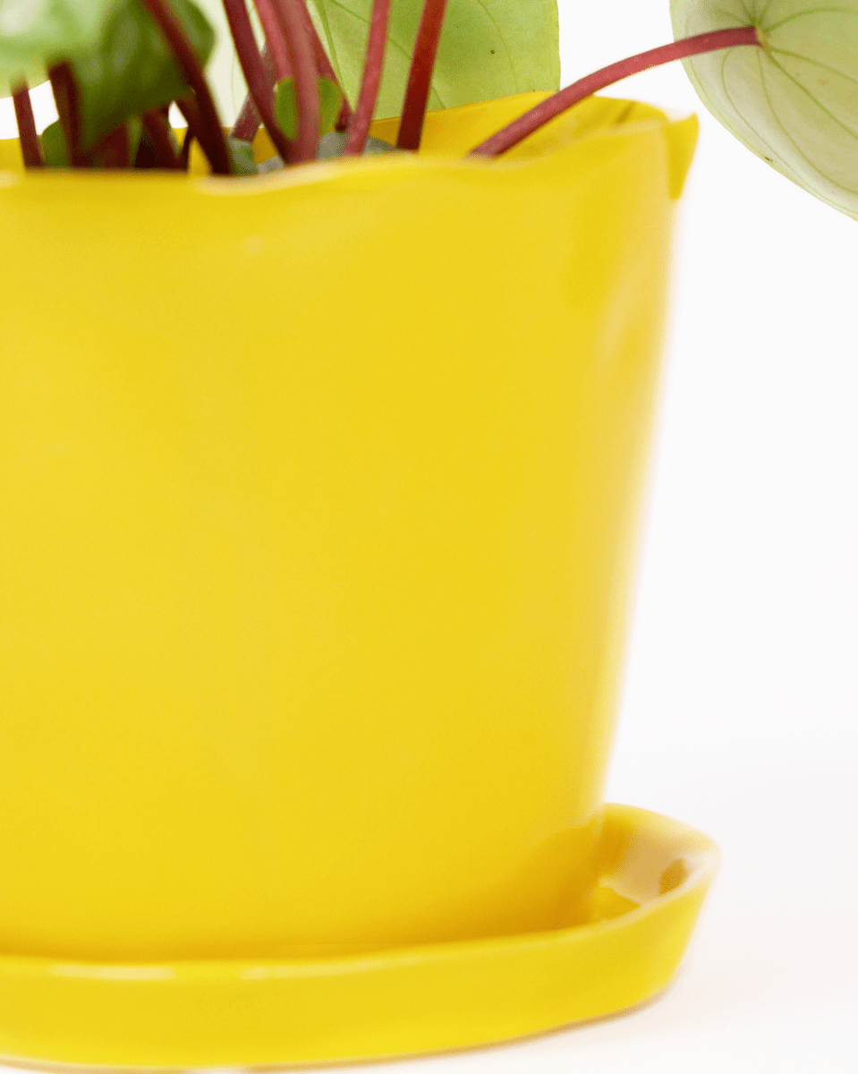 Tika Ceramic Pot & Saucer Set With Drainage - Chive UK Wholesale